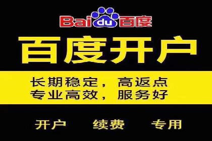 百度推广费用案例：成功案例分析及启示